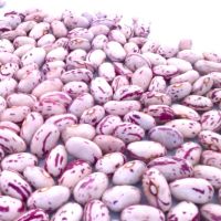 Wholesale Sugar Beans , Red Kidney Beans,Light Speckled,Black kidney beans