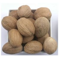 Wholesale natural round Nutmeg