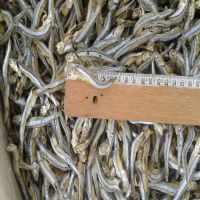 High Quality Dried Anchovy