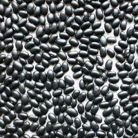 High quality new Crop Dried Black Kidney Beans