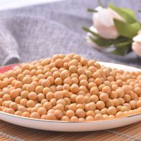 High Quality Soybeans For Sale