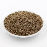 Cumin seeds