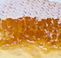 Premium Quality pure Royal Honey For Export