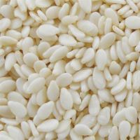 Best price White sesame Seeds