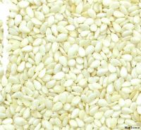 Best Quality Hulled sesame