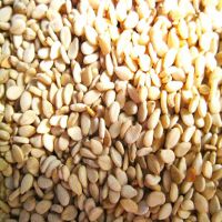 Top Grade Sesame Seeds