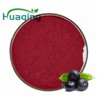 Hot Sale acai berry powder