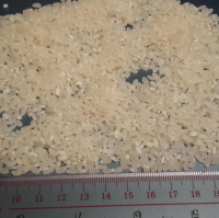 Rice For Sushi