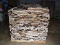 Dry and Wet Salted Donkey Hide / Horse Hides / Wet Cow Hides