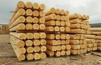 Teak Wood - Round Logs, Swan Timber Logs