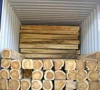 Pine and Oak Teak Wood Logs, Timber, Firewood and Briquettes