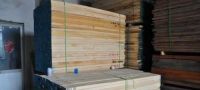 Hard Wood Timber Logs and Sawn Wood