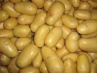 Fresh Irish Potatoes