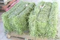 Alfalfa Hay,Timothy Hay and Bermuda Hay Now in Stock.