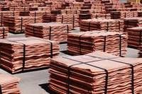 Cathode Copper 99.99% with Good Quality