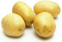 Potatoes for wholesale and Chips industry