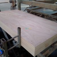 OKOUME PLYWOOD