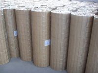 Stainless Steel Welded Mesh