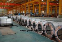 Cold Rolled Stainless Steel Coil Grade 304/201/202/430/316L