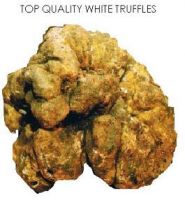 WHITE TRUFFLES, BLACK TRUFFLES, TRUFFLE OILS, TRUFFLE PASTE, ETC.