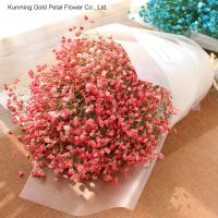 https://www.tradekey.com/product_view/Factory-Direct-Supply-Dried-Flower-Gypsophila-For-Wedding-Home-Decoration-10057253.html
