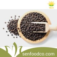 Black Pepper 500g/l 550 g/l 570g/l hot spice and lowest price