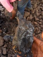 Manganese Ore fro...