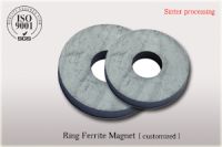 Ferrite /ceramic magnet