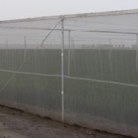 Water jet loom weaves insect net/mosquito net/shade net/tarpaulin/vegetable bags
