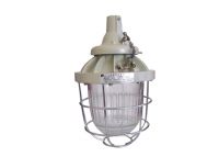 BGD15-200 series of explosion-suppressive flameproof lamps