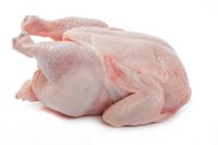 Halal Frozen Chicken, Paws, Wings, Drumsticks, other Poultry products