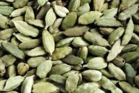 Green Cardamom 5mm/6mm/7mm/8mm Top Quality from India