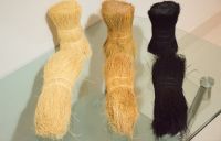 Coir Bristle Fiber