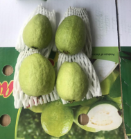 FRESH GUAVA CHEAP PRICE