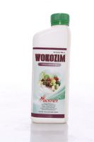 WOKOZIM