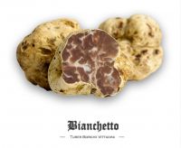 Fresh Spring White Truffle (tuber Borchii Vittadini)