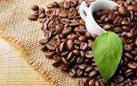 Sell MOKA ROASTED COFFEE BEANS - Viet Deli Coffee Co., Ltd