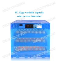 192 eggs variable capacity colorful screen automatic incubator