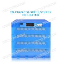 256 eggs variable capacity colorful screen automatic incubator