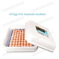64 eggs full automatic foam shell incubator