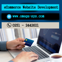 eCommerce Website development services 