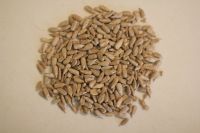 sunflower kernels