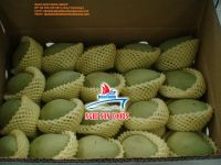 VIETNAMESE FRESH MANGO ( Ms.Ruby +84 342828779)