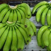 Cavendish banana 