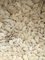 Pumpkin seeds