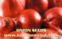 ONION SEED