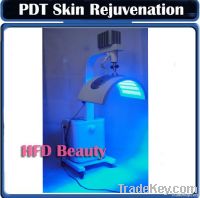 PDT LED Beauty Equipment for Skin Rejuvenation