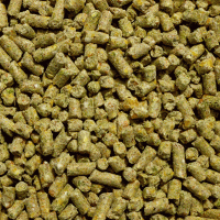 Chicken feed_Organic Layer Pellets or Crumbles #5998