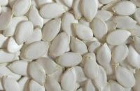 Quality Snow White Pumpkin Seeds