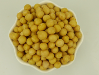 High Quality Non-GMO Soybean &amp; GMO Soybean - Grade A